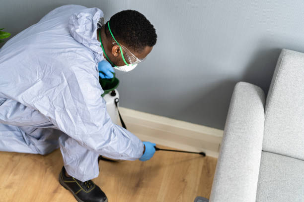 Best Pest Exclusion Services  in Galveston, TX